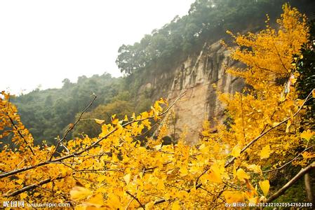 大邑天气预报30天查询,大邑县一个月天气