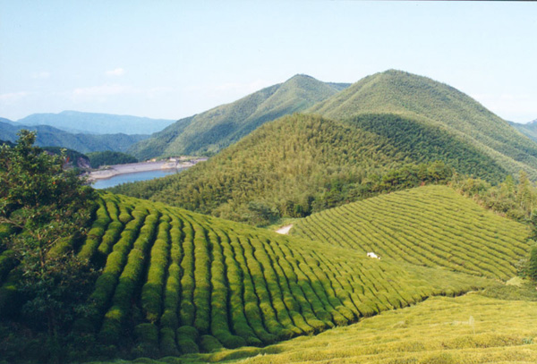 宁波五龙潭天气