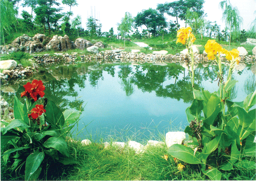 安丘青云湖天气