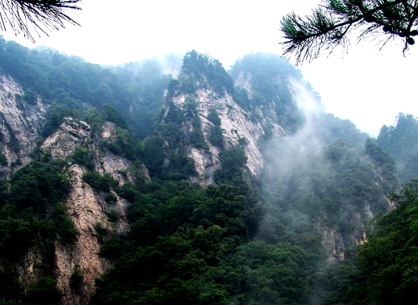 西峡银树沟