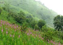 平利正阳草原天气