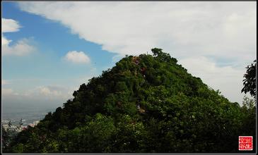 东莞长安郊野公园